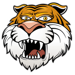 head tiger Vector Image