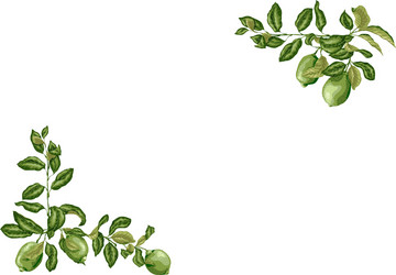 horizontal frame with lime and lemon branches vector