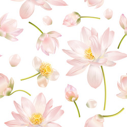 Pink Lotus Bloom Pattern Vector Image