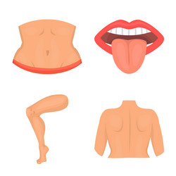 isolated object body and part icon collection vector image