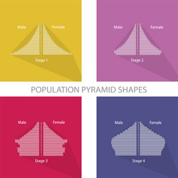 4 stages of population pyramids graphs vector