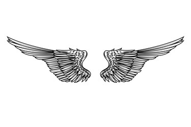 heraldic wings for tattoo or mascot design Vector Image