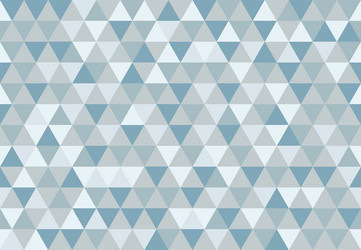 retro triangle pattern the first raindrop vector image