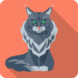 Cat maine coon icon flat design vector