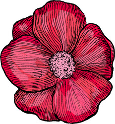 Dog rose flower Royalty Free Vector Image - VectorStock