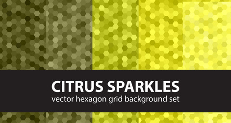 Hexagon pattern set citrus sparkles seamless vector