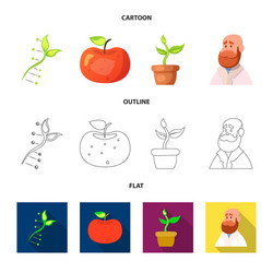 isolated object of and sign collection vector image