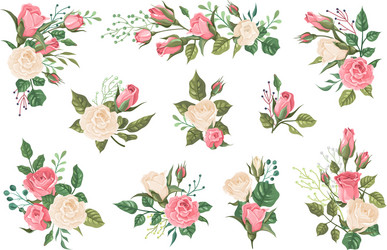 Romantic Rose Bouquets Vector Image