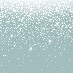 snow effect isolated falling winter vector image