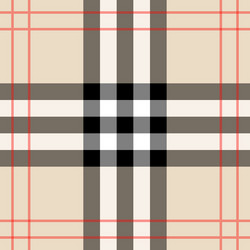 Scottish Check Pattern vector image