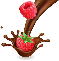 Chocolate Raspberry Splash - 3D Food Art vector image