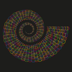 dark spiral icon nautilus shell gradient swirl vector image