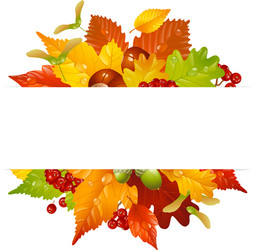 Fall Leaf Frame with Autumn Elements vector image
