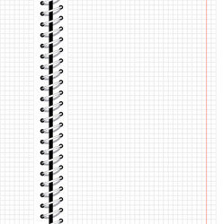 Spiral Notebook Pattern vector image