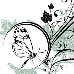 Floral Swirls & Patterns vector image