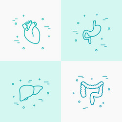 Human internal organs thin line icons set Vector Image