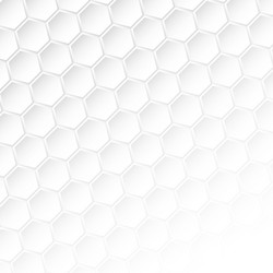 design abstract white and gray color background vector image