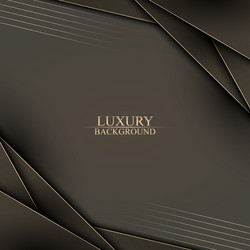 Luxury stripes overlapping layer with lines vector