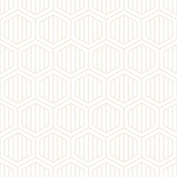 Subtle Hexagon Stripe Pattern vector image