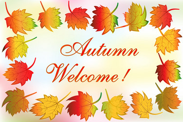 autumn colorful fall leafs greetings card Vector Image