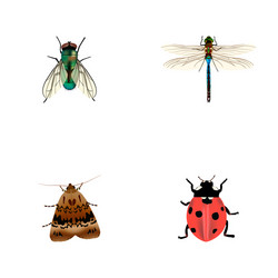 set of bug realistic symbols with wasp ladybug vector image