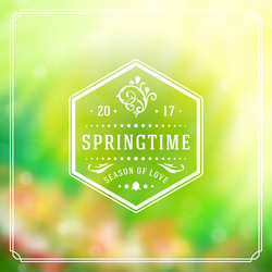 spring badge typographic design greeting vector image