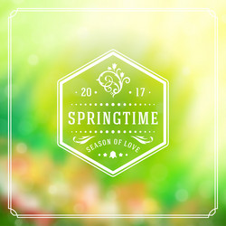 spring badge typographic design greeting vector