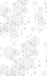 white background dots lines and hexagons vector