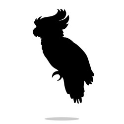 Black Parrot Silhouette Vector Image