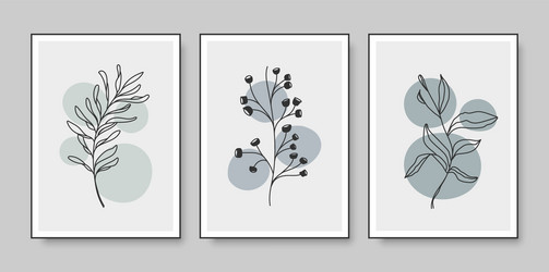 Minimalist Botanical Wall Art Set Vector Image