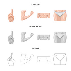 design of human and part symbol set vector image