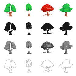 isolated object of tree and nature sign vector image