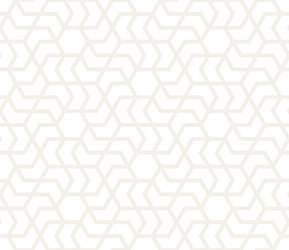 Geometric Abstract Pattern vector image