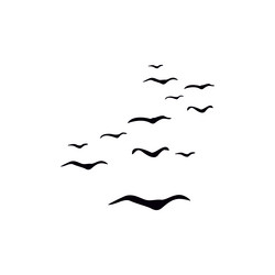 abstract birds Vector Image