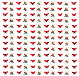 bee ladybug as a pattern background vector image