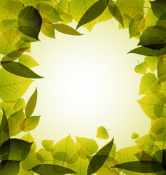 spring leafs abstract background vector image