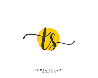 Ts initial handwriting logo design Royalty Free Vector Image