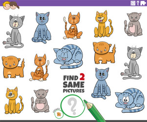 find two same cat characters game for children vector image