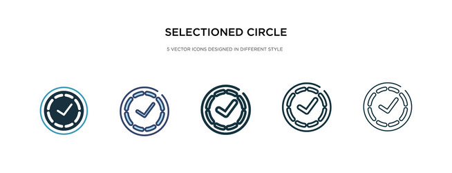 selectioned circle icon in different style two vector image