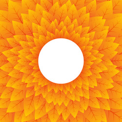 Abstract nature orange circular background vector