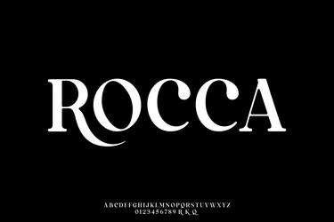 elegant rounded serif alphabet display font vector image