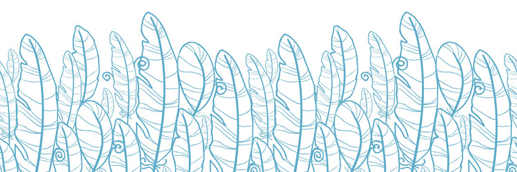 blue drawn feathers horizontal seamless pattern vector image