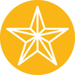 star five pointed block style icon vector image