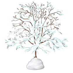 leafless tree covered with snow isolated vector