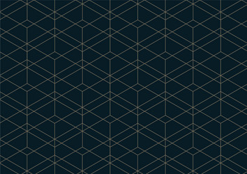 abstract geometric pattern with lines on dark vector image