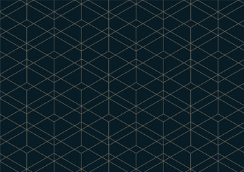 Abstract geometric pattern with lines on dark vector