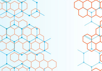 abstract background with connect hexagons vector image