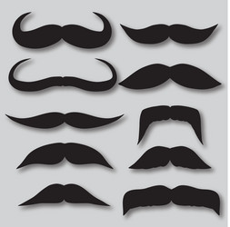 Different types of mustaches retro style vector