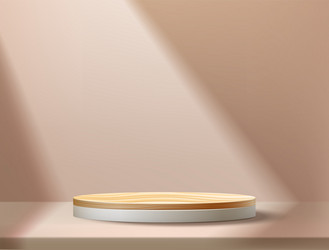 empty product stage realistic 3d scene render vector image