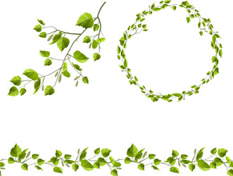 branch of tree with green leaves endless pattern vector image
